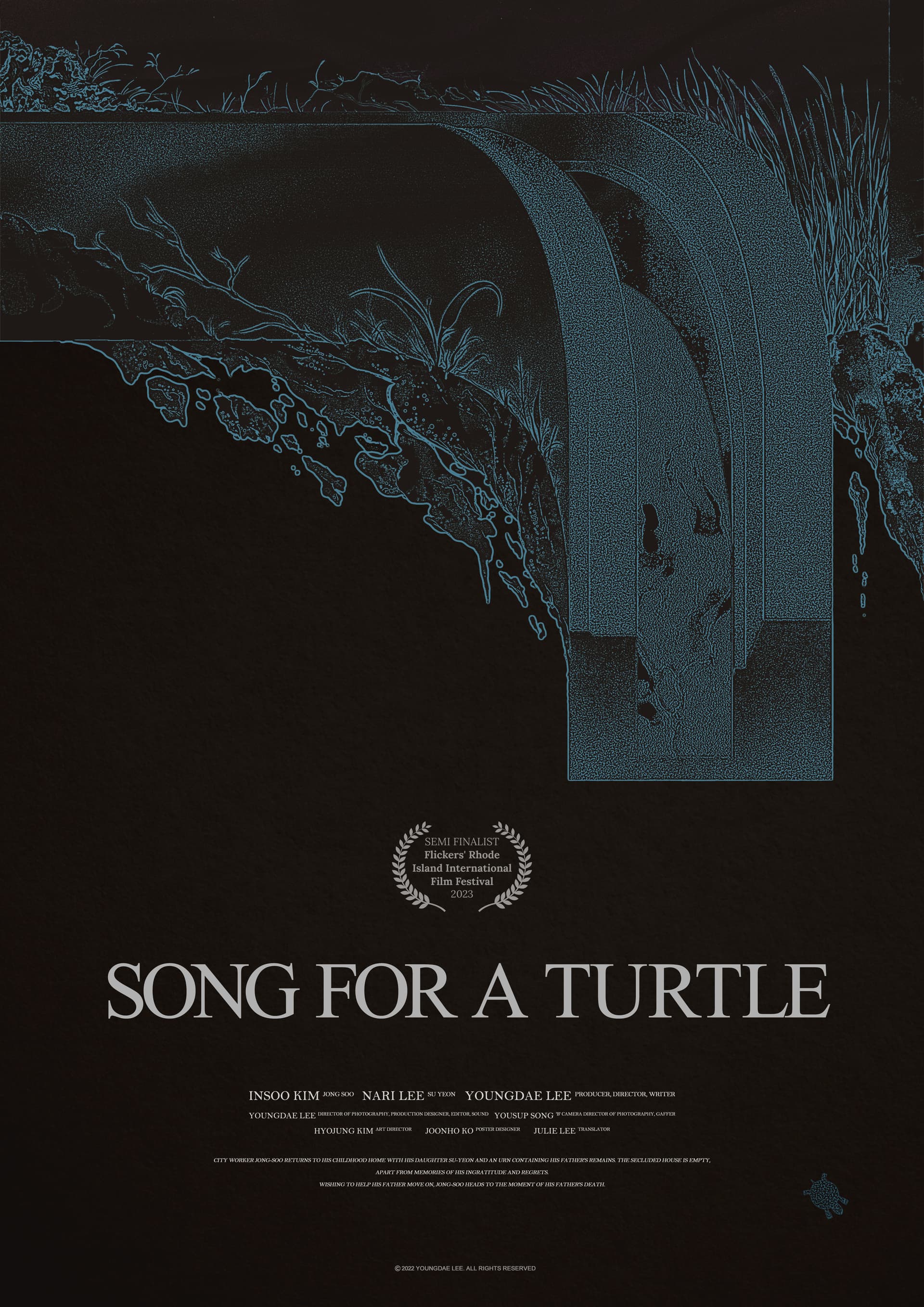 Song for a Turtle
