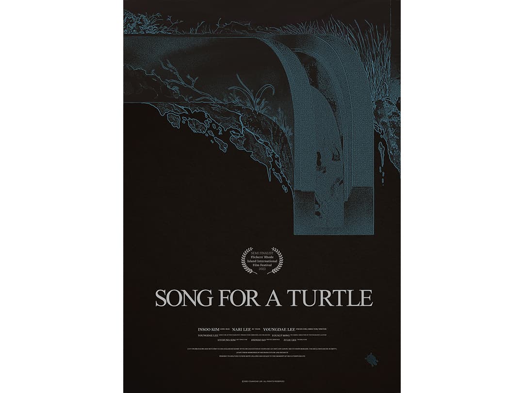 Song for a Turtle